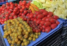 Bit Pazar Skopje: produce stalls piled with peppers and tomatoes
