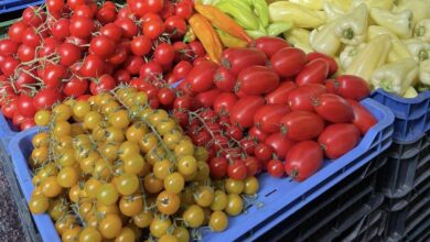 Bit Pazar Skopje: produce stalls piled with peppers and tomatoes